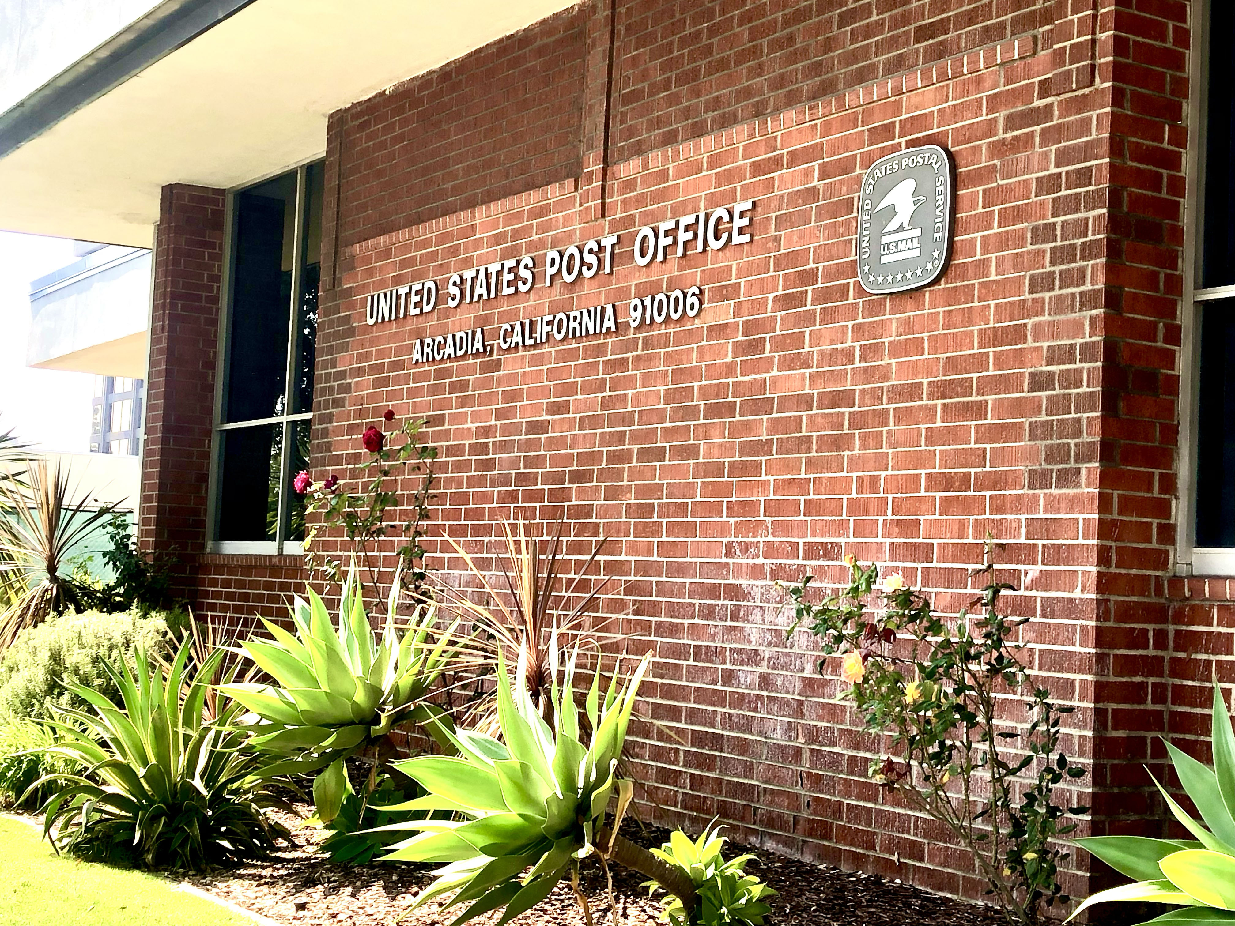 Towson Here They Come!